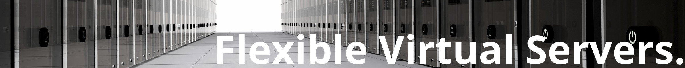 Flexible Virtual Server Solutions